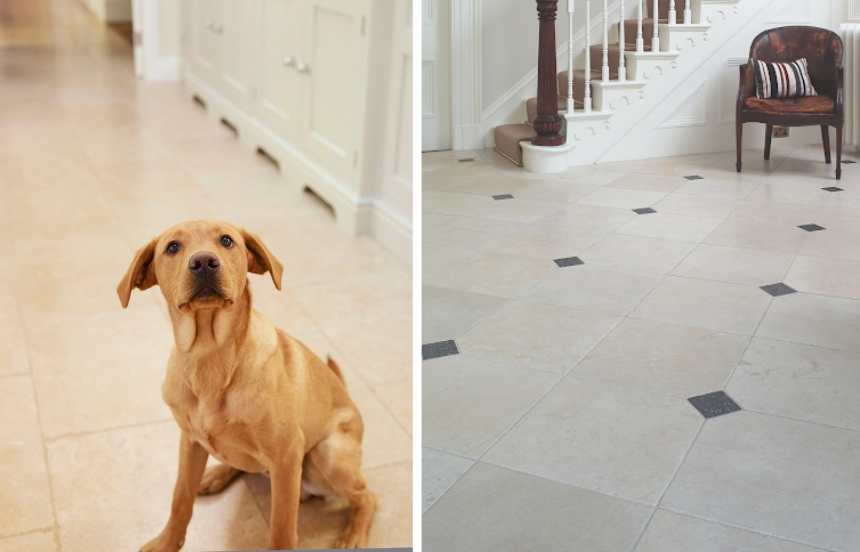 Pet friendly flooring examples